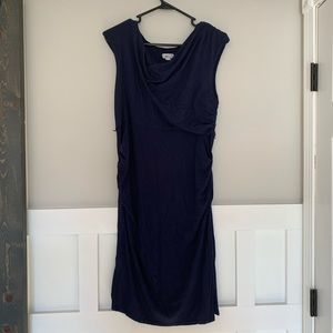 A Pea in The Pod Maternity Dress